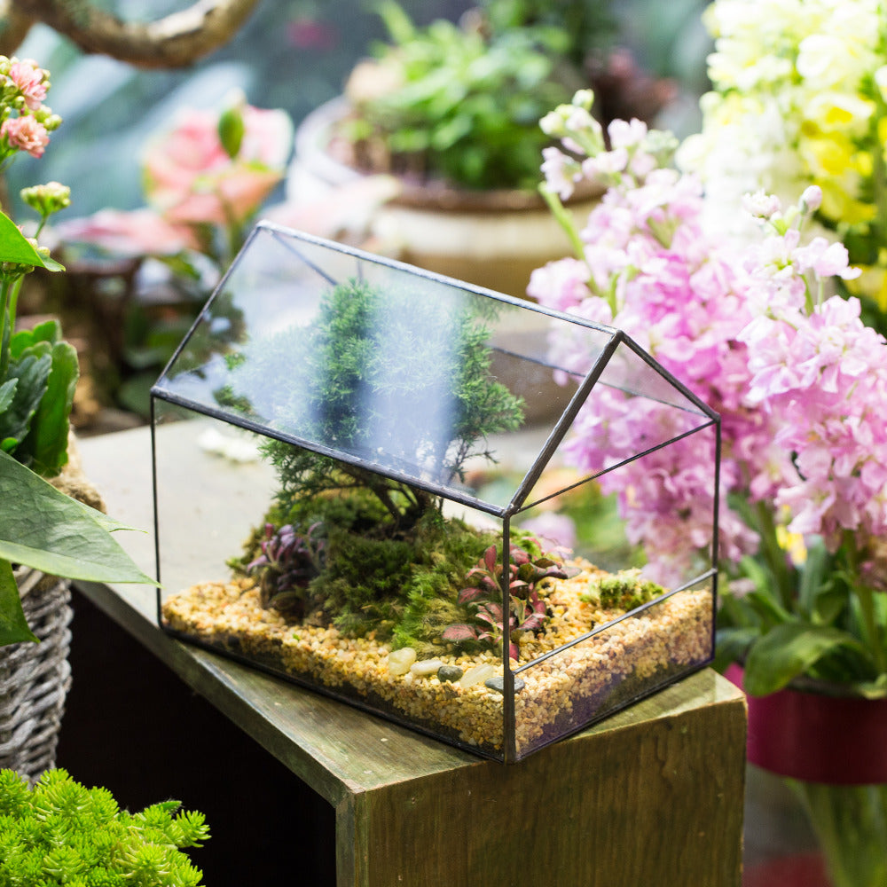 Handmade House Shape Open on the Side Glass Geometric Terrarium for Fern Moss Succulents Airplants - NCYPgarden