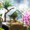 Handmade House Shape Open on the Side Glass Geometric Terrarium for Fern Moss Succulents Airplants - NCYPgarden