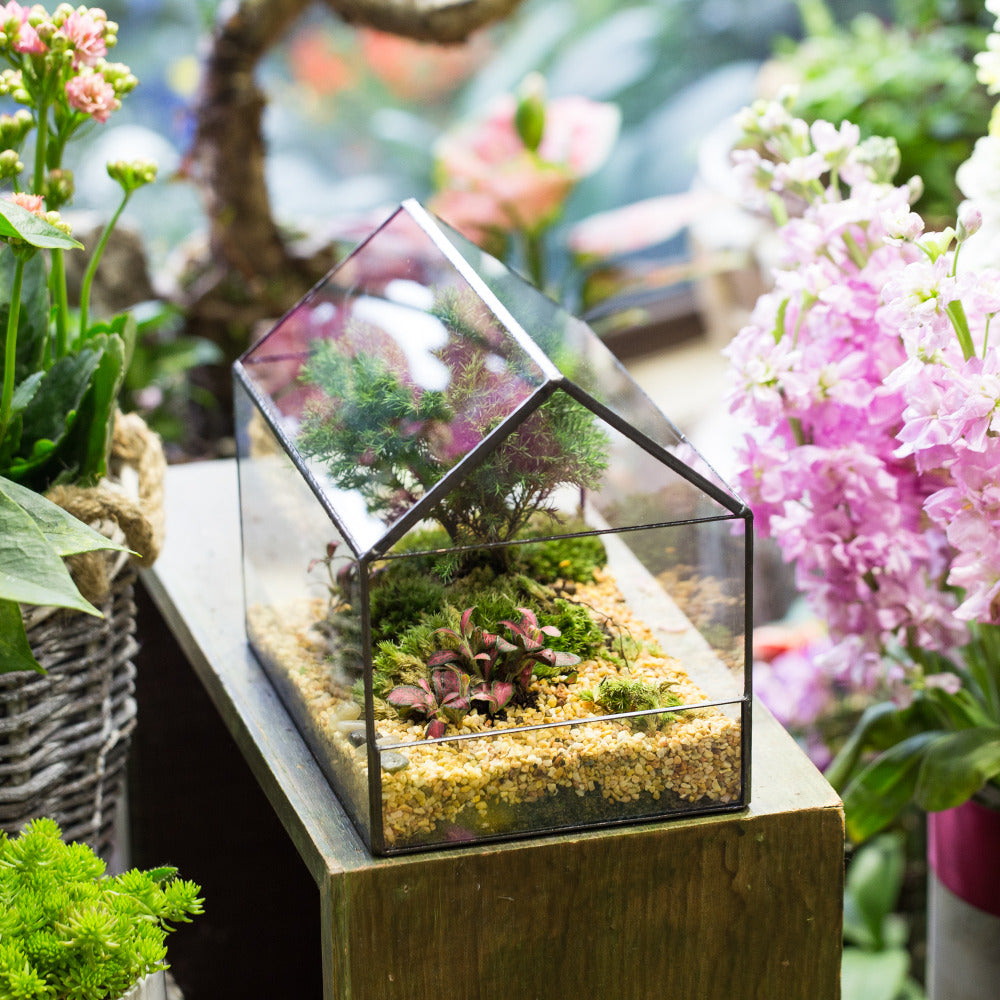 Handmade House Shape Open on the Side Glass Geometric Terrarium for Fern Moss Succulents Airplants - NCYPgarden