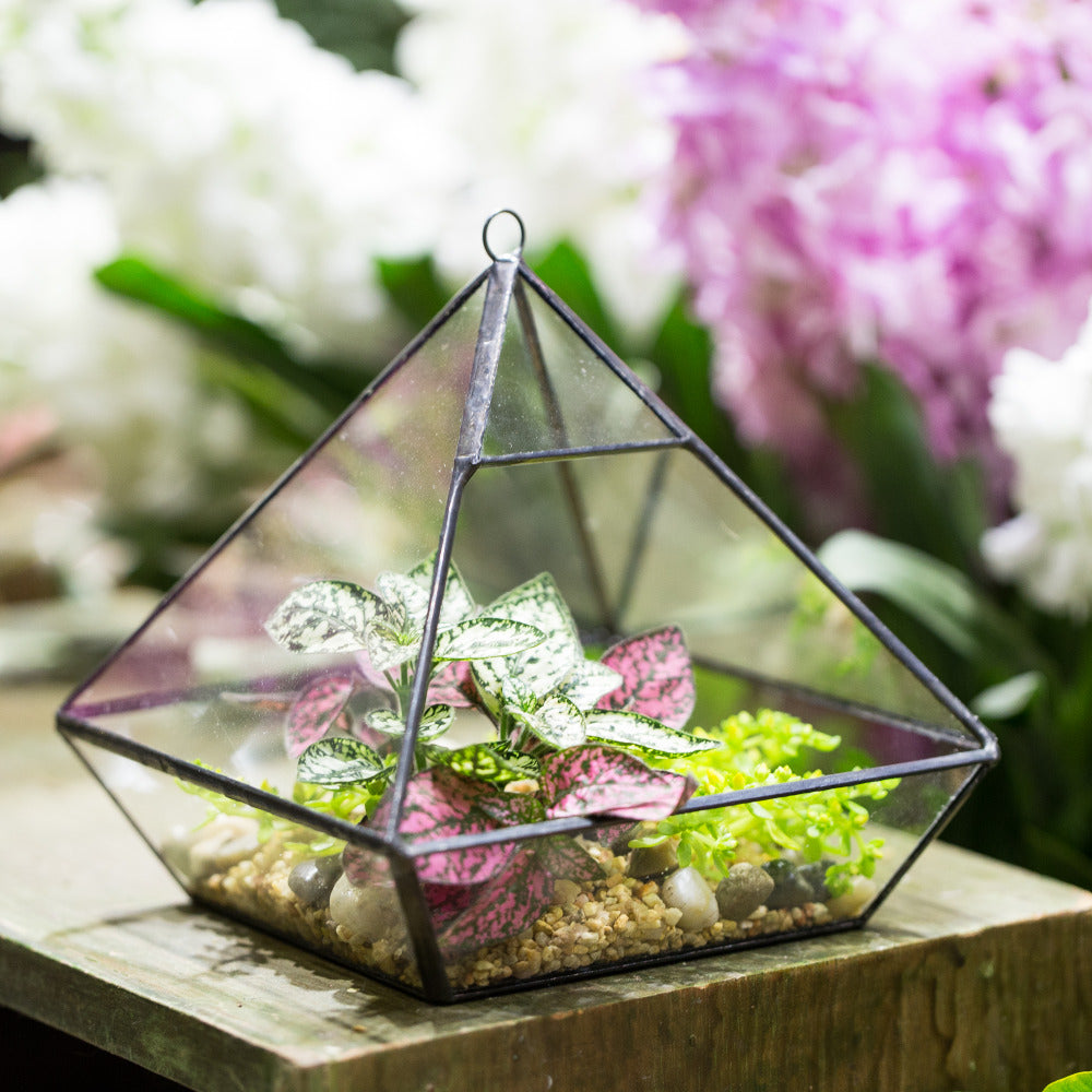 Handmade Black Vertebral Hanging Geometric Glass Terrarium for Succulent Fern Moss - NCYPgarden