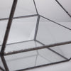 Handmade Black Vertebral Hanging Geometric Glass Terrarium for Succulent Fern Moss - NCYPgarden