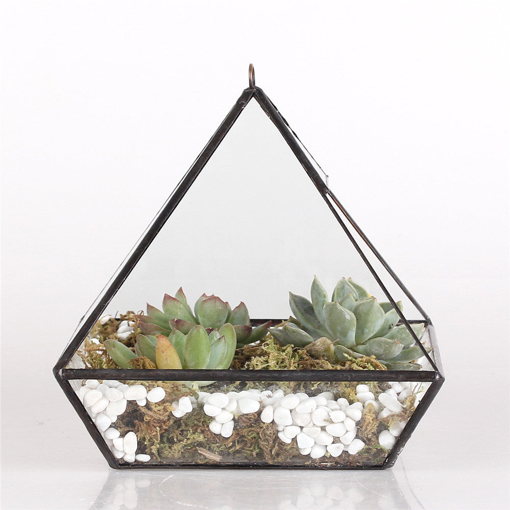 Handmade Black Vertebral Hanging Geometric Glass Terrarium for Succulent Fern Moss - NCYPgarden