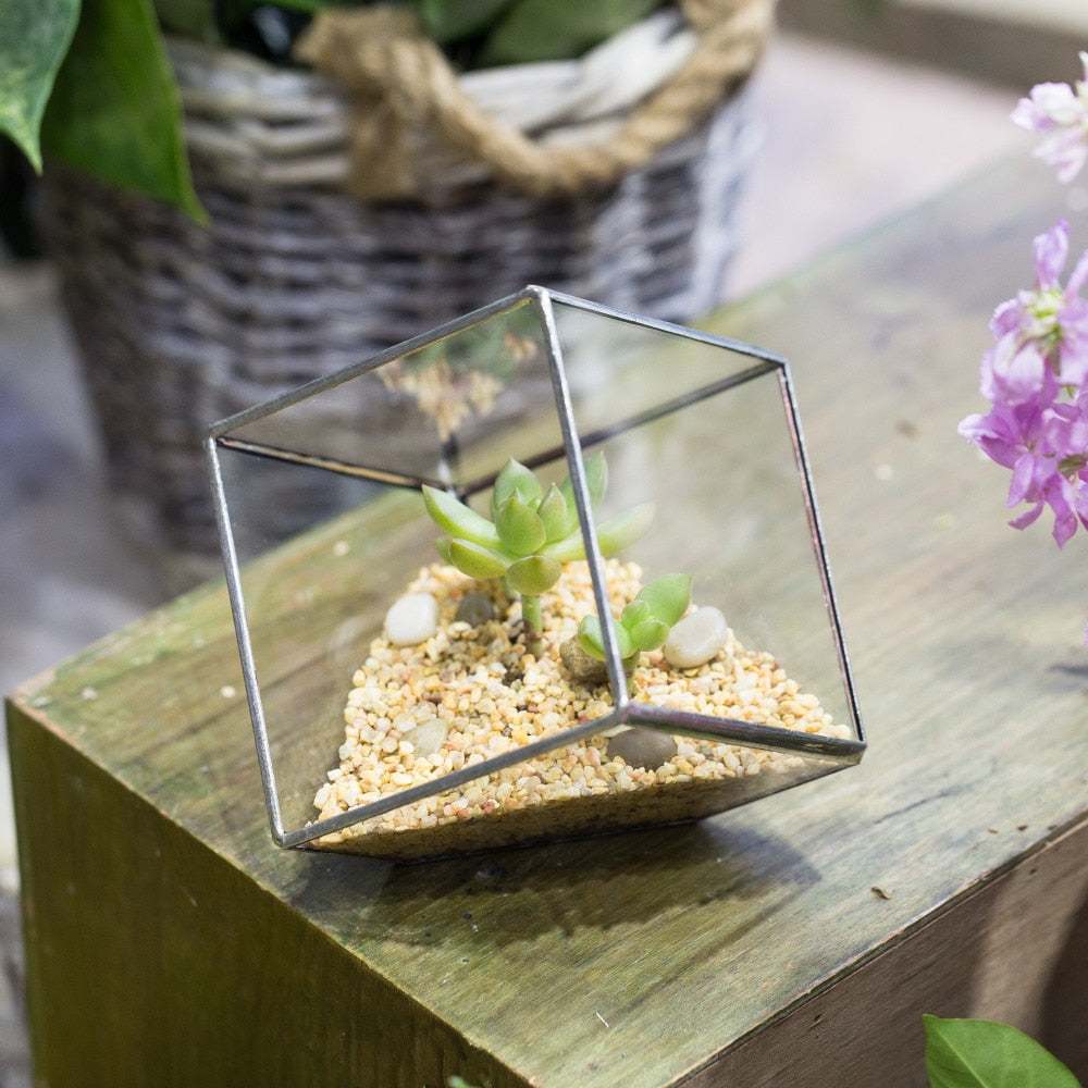 Handmade 3.93" / 10cm Silver Square Inclined Cube Glass Geometric Terrarium for Succulent  Airplants - NCYPgarden