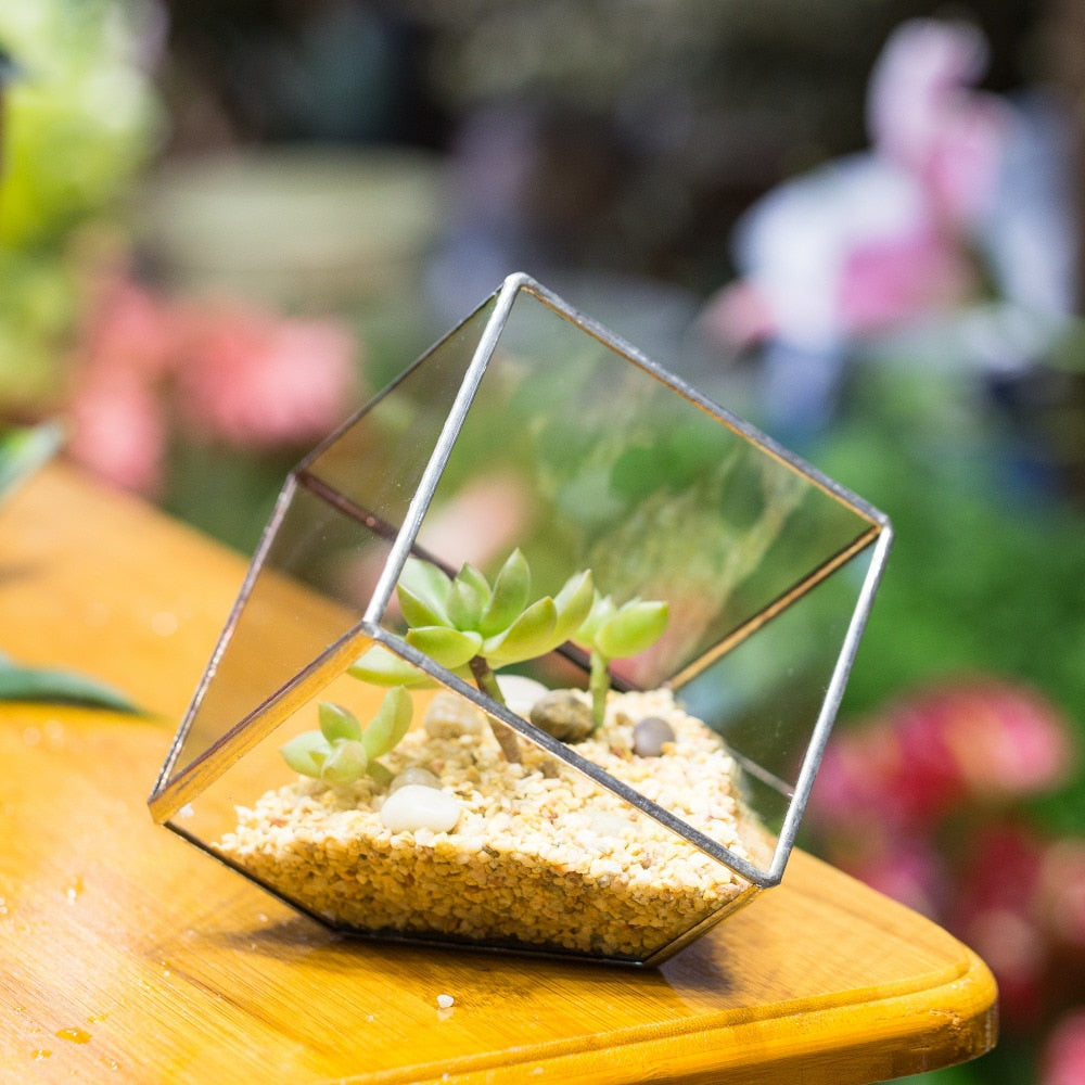 Handmade 3.93" / 10cm Silver Square Inclined Cube Glass Geometric Terrarium for Succulent  Airplants - NCYPgarden