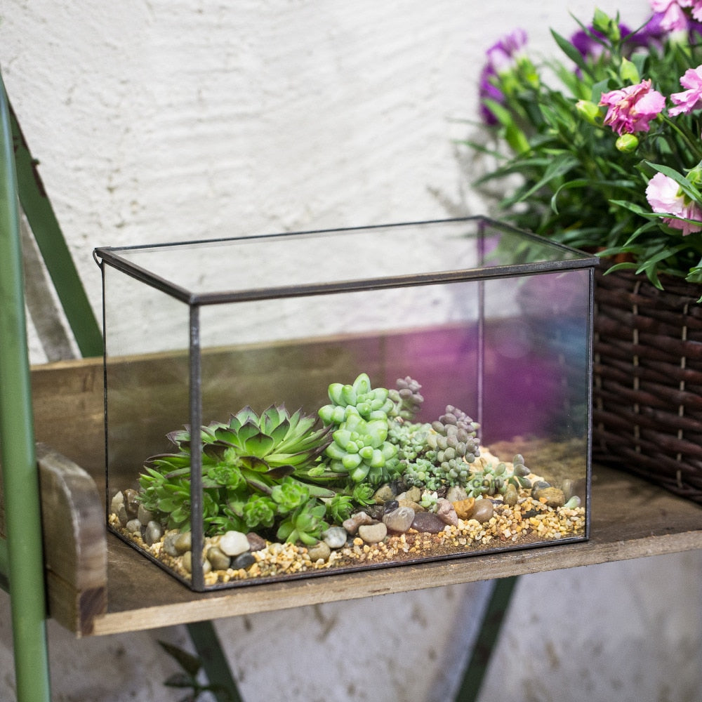 Handmade Rectangle Glass Geometric Terrarium with Lid  for Succulents Moss Fern - NCYPgarden