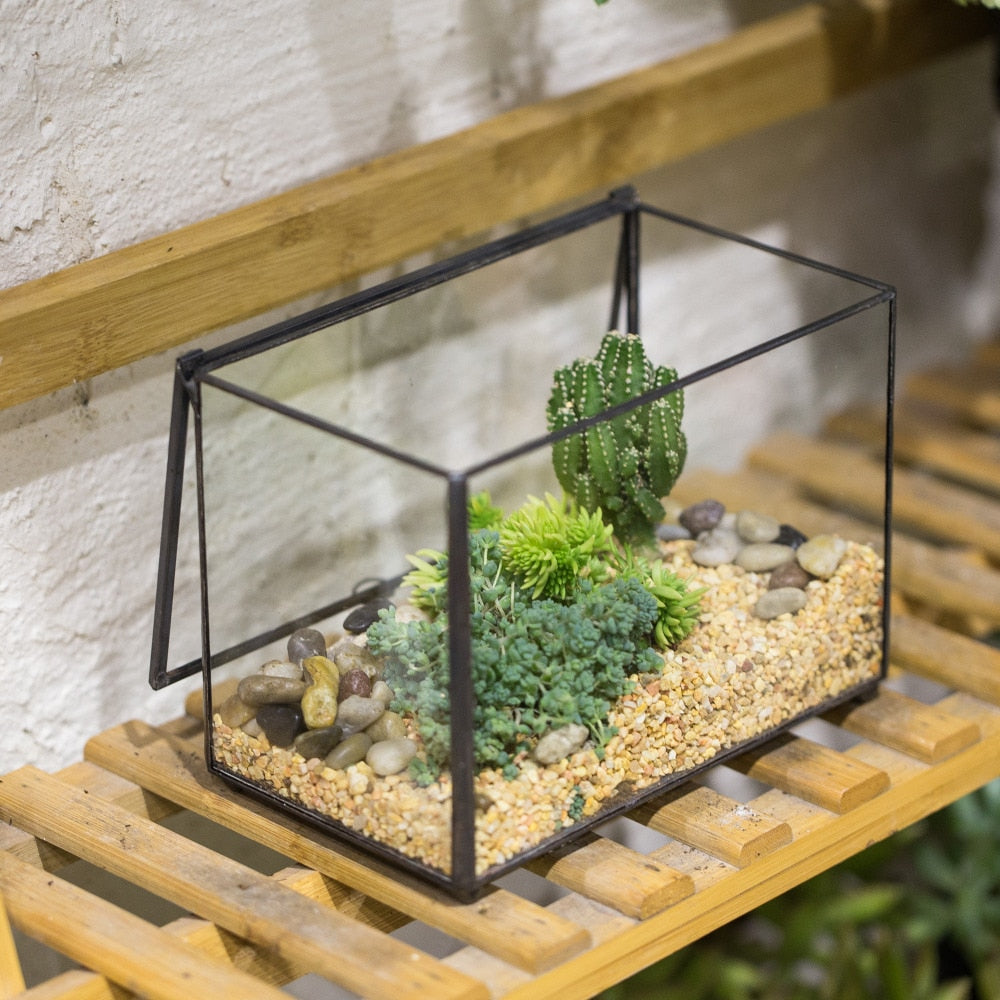 Handmade Rectangle Glass Geometric Terrarium with Lid  for Succulents Moss Fern - NCYPgarden