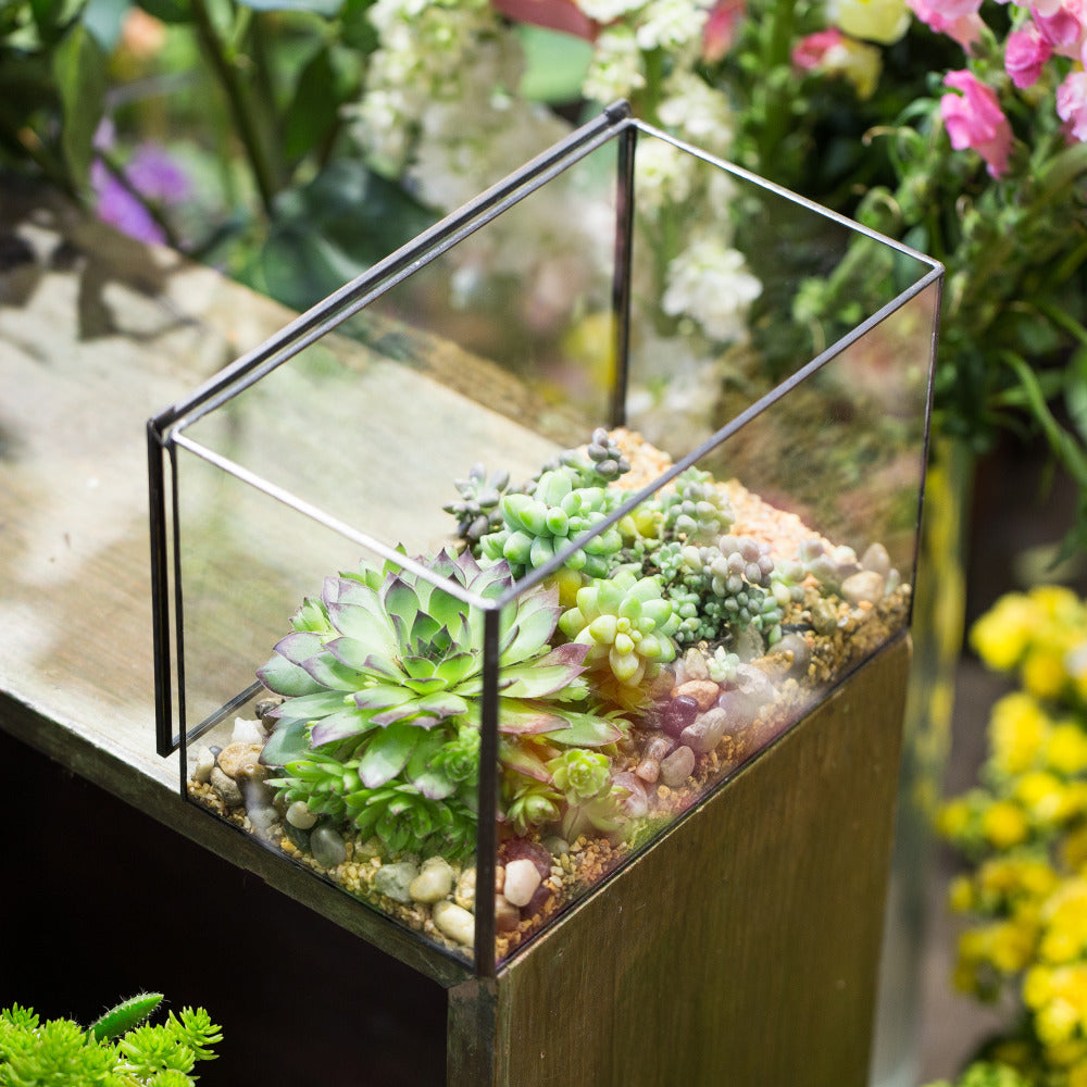 Handmade Rectangle Glass Geometric Terrarium with Lid  for Succulents Moss Fern - NCYPgarden