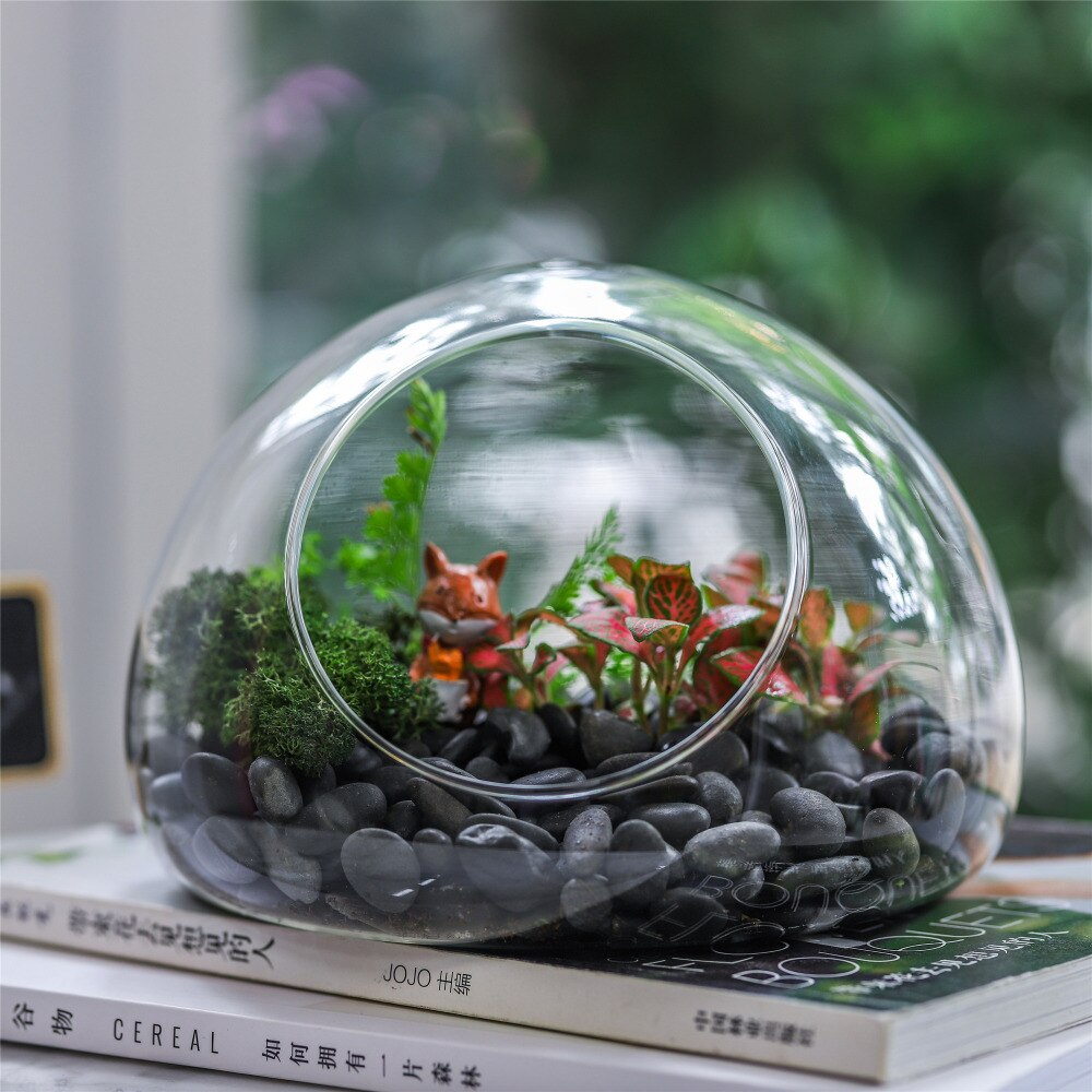 Hand Blown Glass Bubble Shape Globe Terrarium for Miniature Micro Landscape Airplants Moss - NCYPgarden
