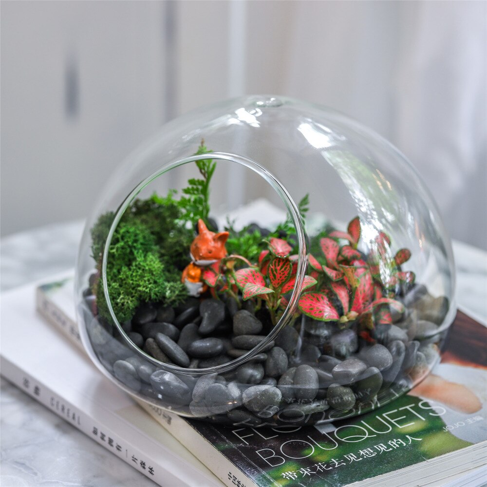 Hand Blown Glass Bubble Shape Globe Terrarium for Miniature Micro Landscape Airplants Moss - NCYPgarden