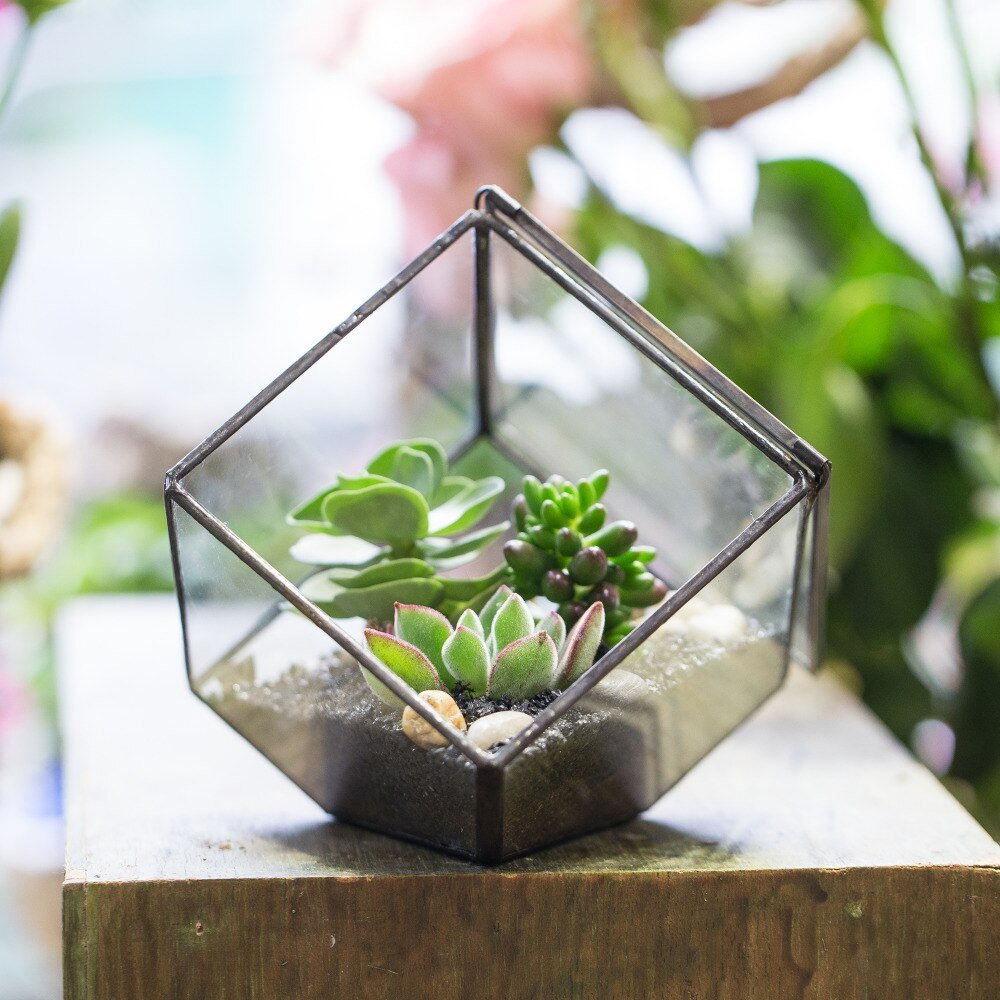 succulent glass planter Rustic Glass Box Planter for Succulents – NCYPgarden