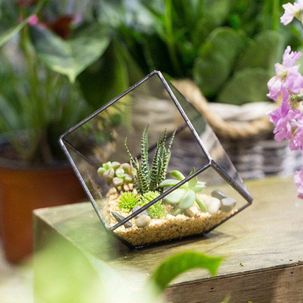geometric succulent vase Buy Handmade Inclined Cube Glass Geometric Terrarium – NCYPgarden
