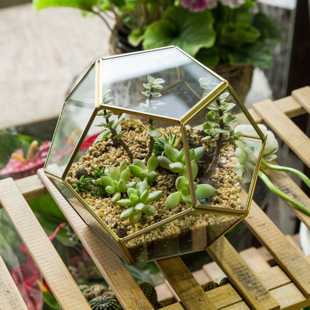 gold succulent terrarium Handmade Gold Pentagon Geometric Glass Terrarium for Succulent Moss Airplants Wedding