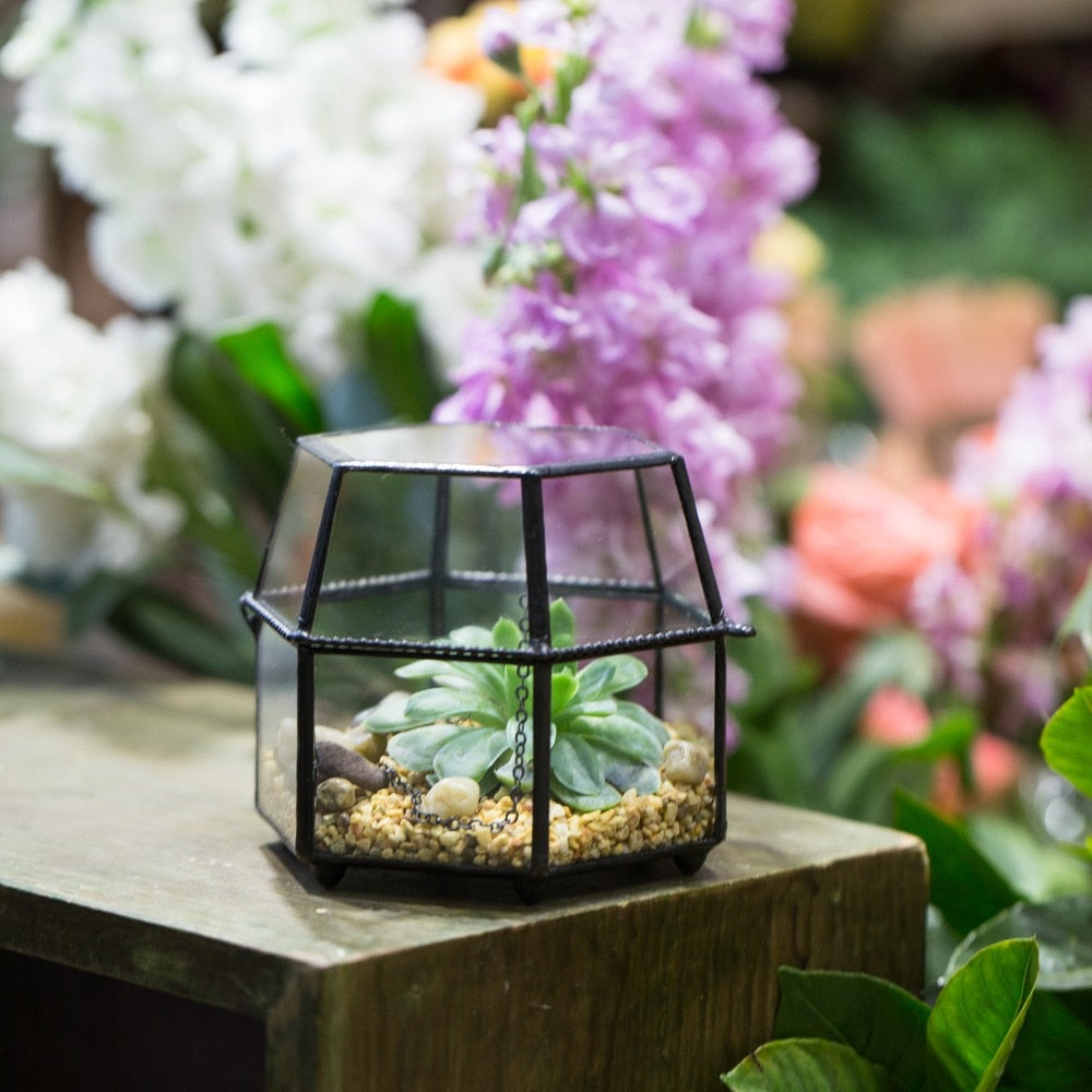 Handmade Small Glass Jewelry Geometric Box Terrarium for Succulents Ring Box - NCYPgarden