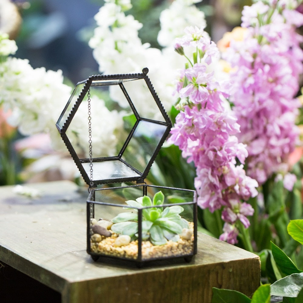 Handmade Small Glass Jewelry Geometric Box Terrarium for Succulents Ring Box - NCYPgarden