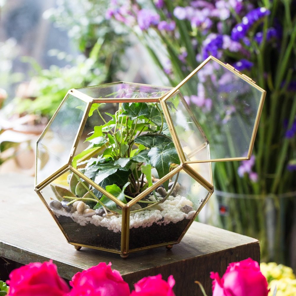 glass ball succulent Handmade Gold Ball Shape Glass Geometric Terrarium with Feet Door for Succulent Plants Moss