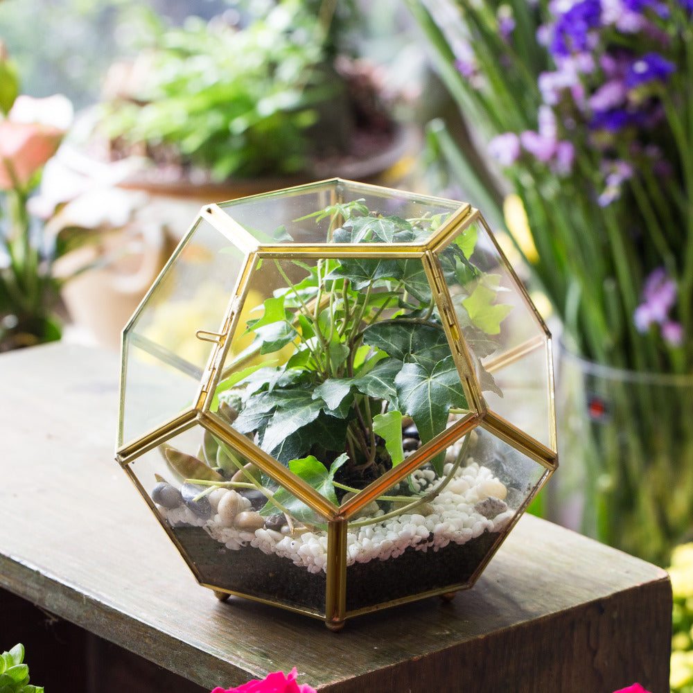 Handmade Gold Ball Shape Glass Geometric Terrarium with Feet Door for Succulent Plants Moss - NCYPgarden