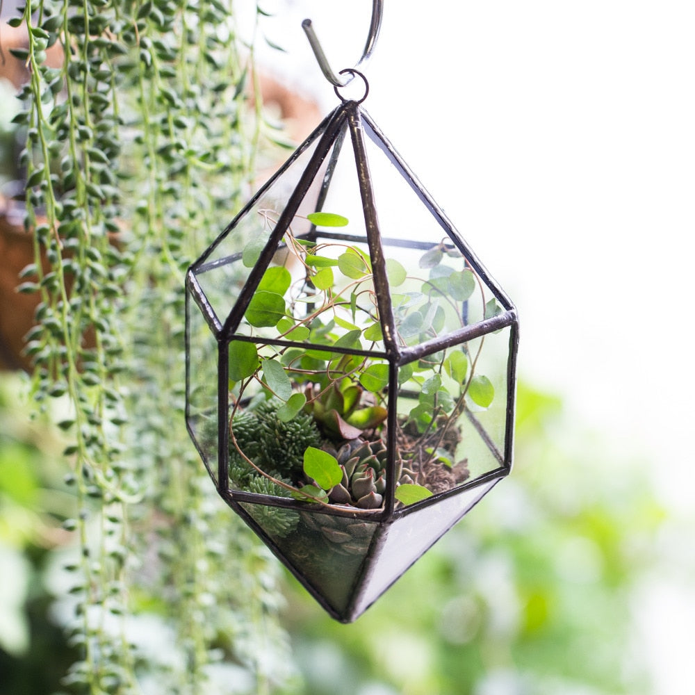 Handmade Hanging Cone Shape Glass Geometric Terrarium for Succulent Fern Moss - NCYPgarden