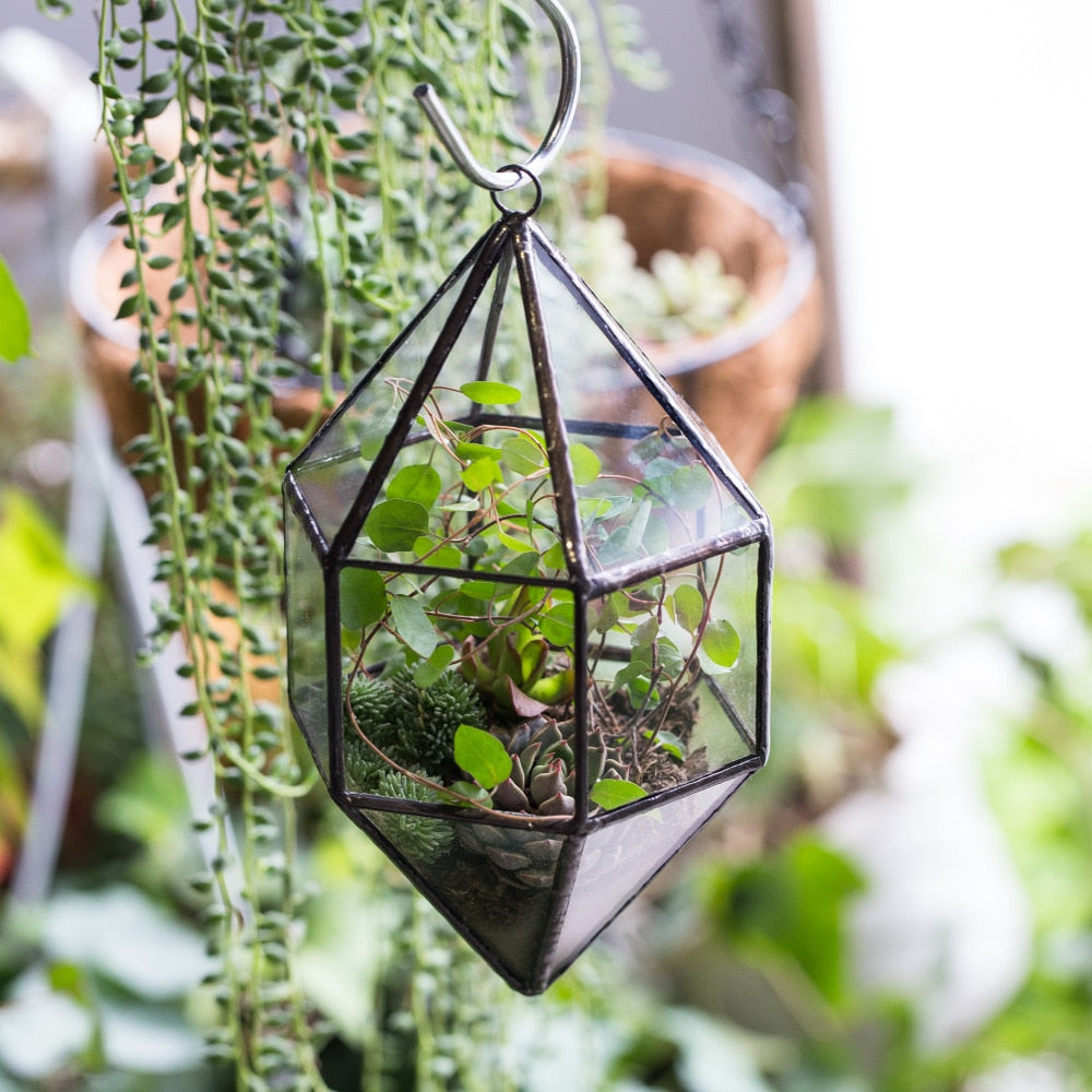 Handmade Hanging Cone Shape Glass Geometric Terrarium for Succulent Fern Moss - NCYPgarden