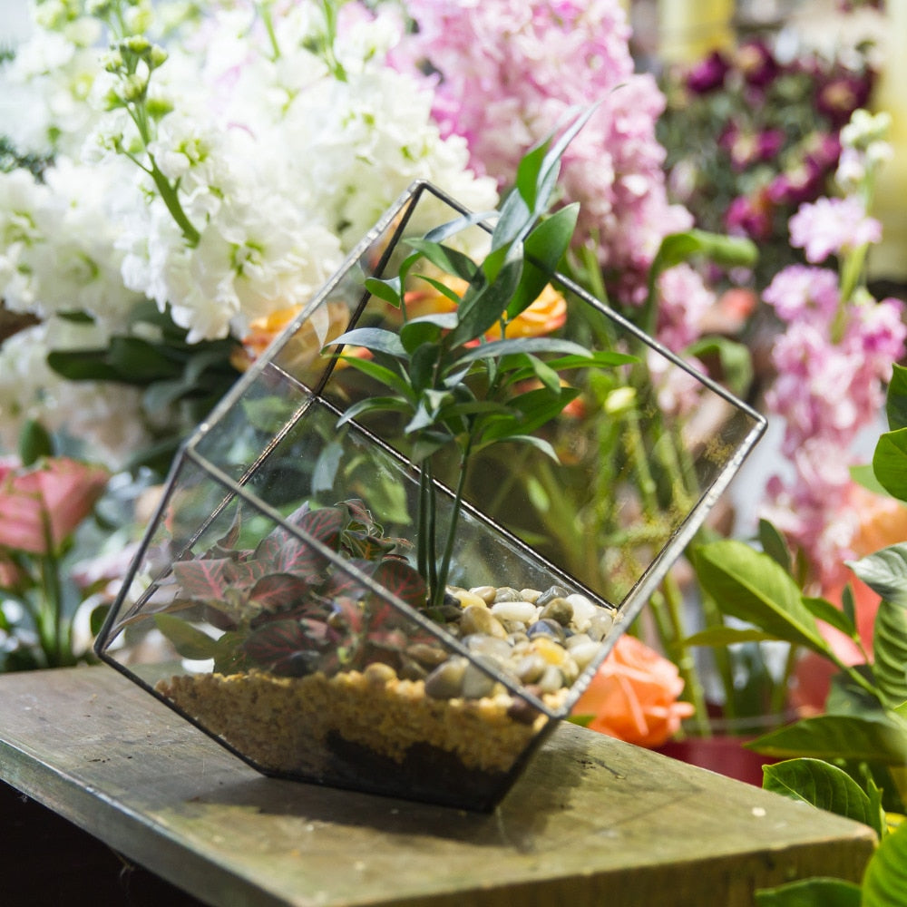 Handmade Cube Black Glass Geometric Terrarium Container for Moss Fen Succulents - NCYPgarden