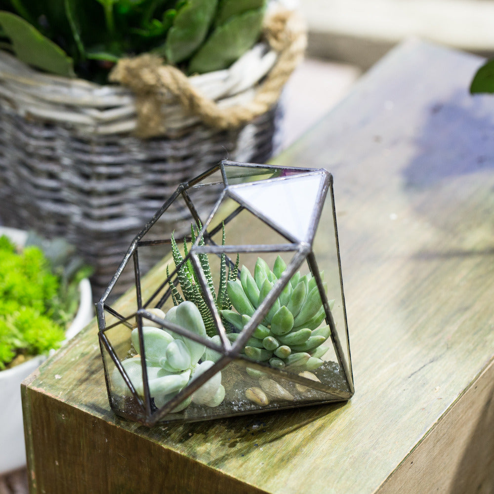 Handmade Diamond Open Glass Geometric Terrarium for Succulents Moss Fern Cacti - NCYPgarden