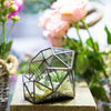 Handmade Diamond Open Glass Geometric Terrarium for Succulents Moss Fern Cacti - NCYPgarden