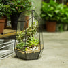 Handmade 25cm Irregular Tall Open Glass Geometric Terrarium Container for Succulents Wedding - NCYPgarden