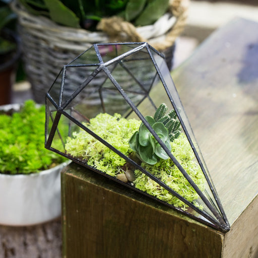 Handmade Long Diamond Glass Geometric Terrarium for Succulent Airplants Cacti Moss - NCYPgarden