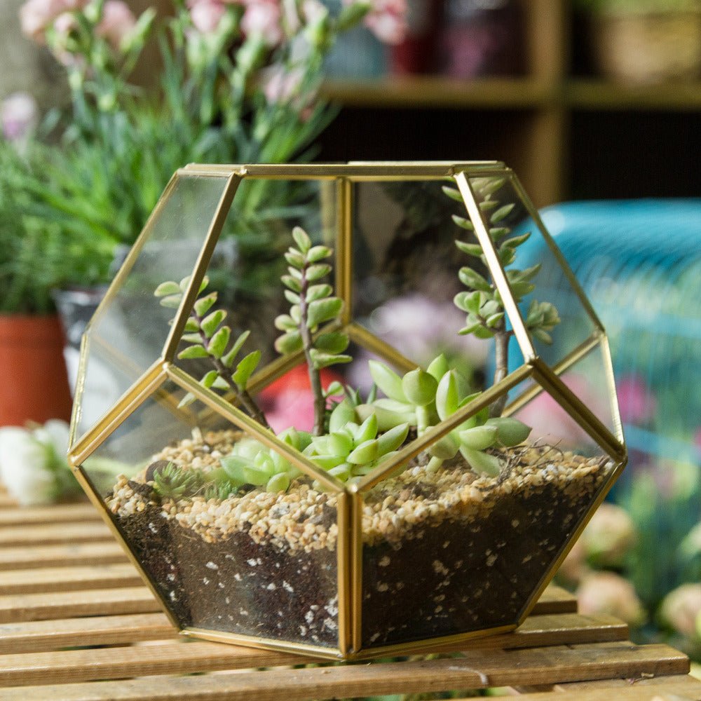 glass pot for plants Buy Handmade Tabletop Polyhedron Glass Geometric Terrarium – NCYPgarden