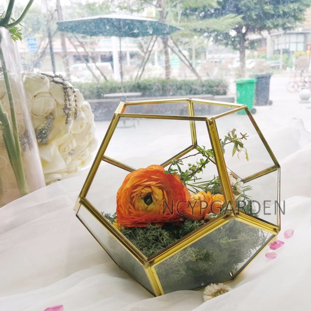 Handmade Tabletop Polyhedron Glass Geometric Terrarium for Succulent Fern Moss Air Plant - NCYPgarden