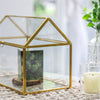 Handmade Gold House Shape Glass Geometric Terrarium  Card Wishwell Reception Box for Wedding Ceromony - NCYPgarden