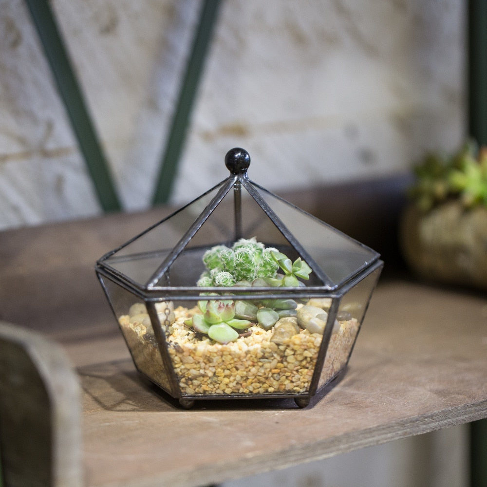 Handmade Small Modern Clear Jewelry BoxGlass Geometric Terrarium for Wedding Planters Succulents - NCYPgarden