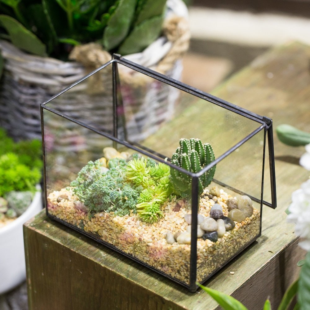 succulents in clear glass Order Handmade Rectangle Clear Glass Geometric Terrarium Box – NCYPgarden