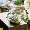 Handmade Glass Geometric Flower Terrarium Pot for Succulents Moss Fern Micro Landscape - NCYPgarden